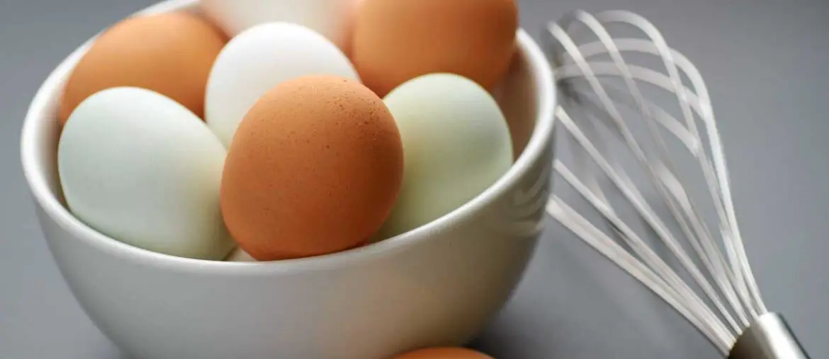 Egg myths