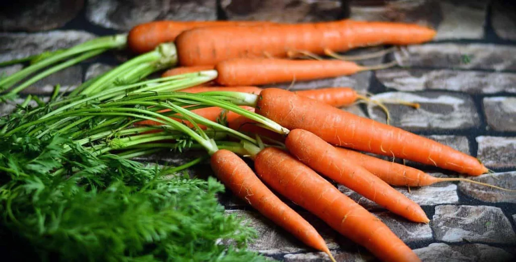 Top 10 detoxification methods and cleansing foods 1 Carrots play a vital role in eliminating the mercury deposited in our body