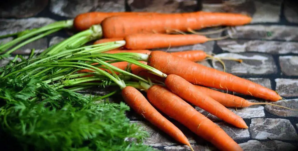 Carrots play a vital role in eliminating the mercury deposited in our body