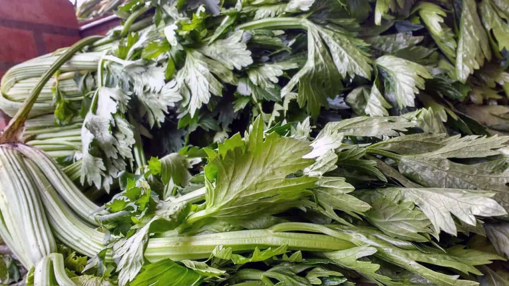 Top 10 detoxification methods and cleansing foods 15 Celery contains a variety of rich fibre. These fibres serve as a valuable cleaning tool to filter the body’s waste
