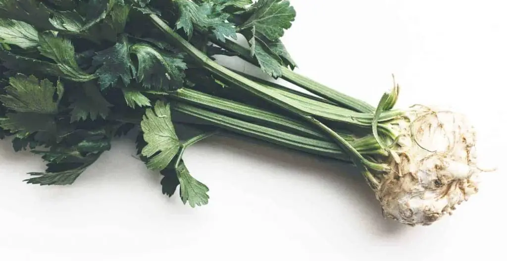 Celery can nourish essence, stimulate blood and spleen, stop cough and diuresis, reduce blood pressure, calm down, and so on.
