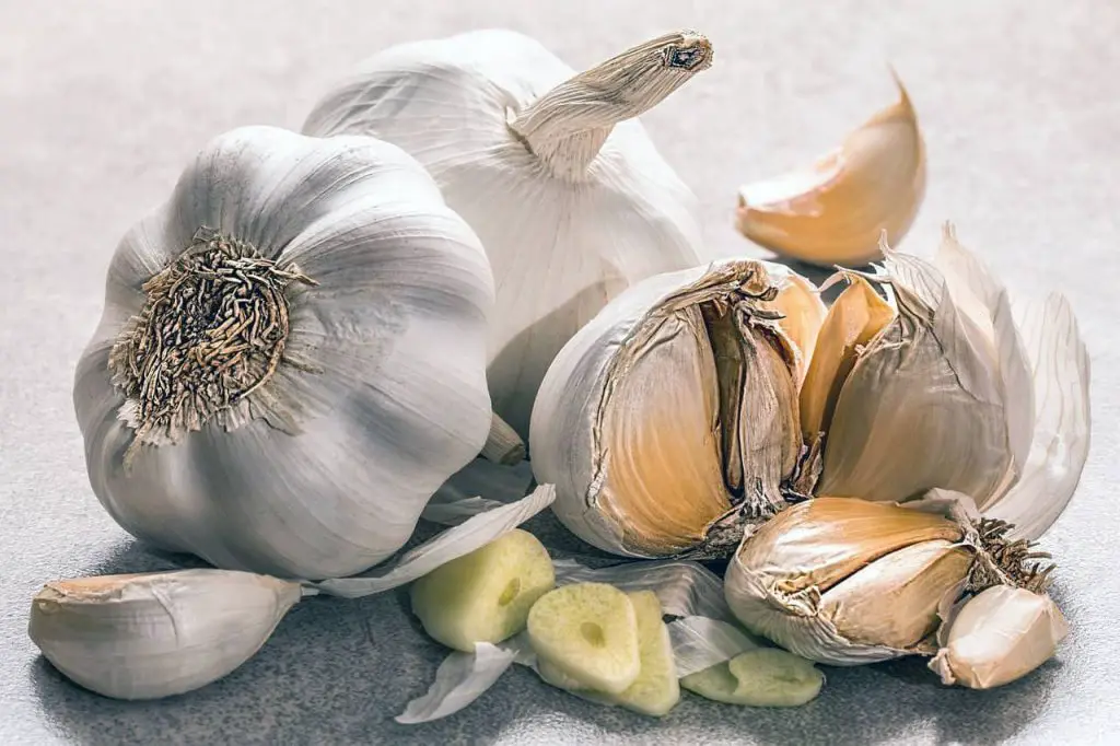 Special ingredients in Garlic play a major role in reducing the concentration of lead in our body.