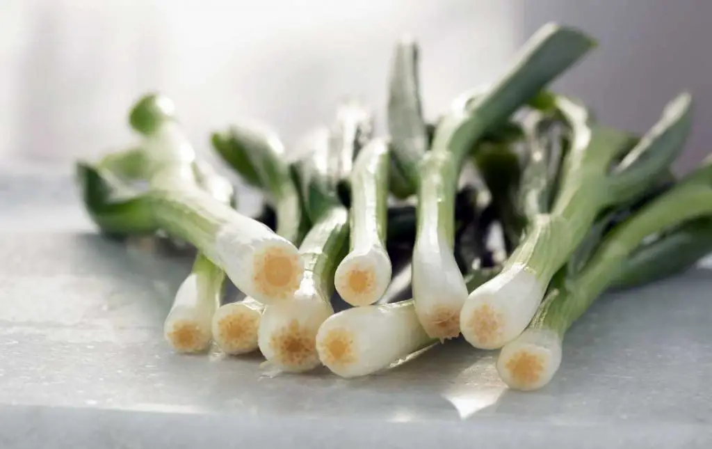 Leek is warm in characteristics, and it can warm the kidney