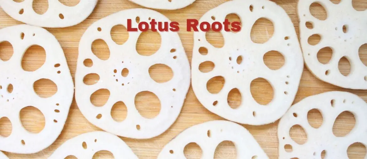 Lotus roots benefits