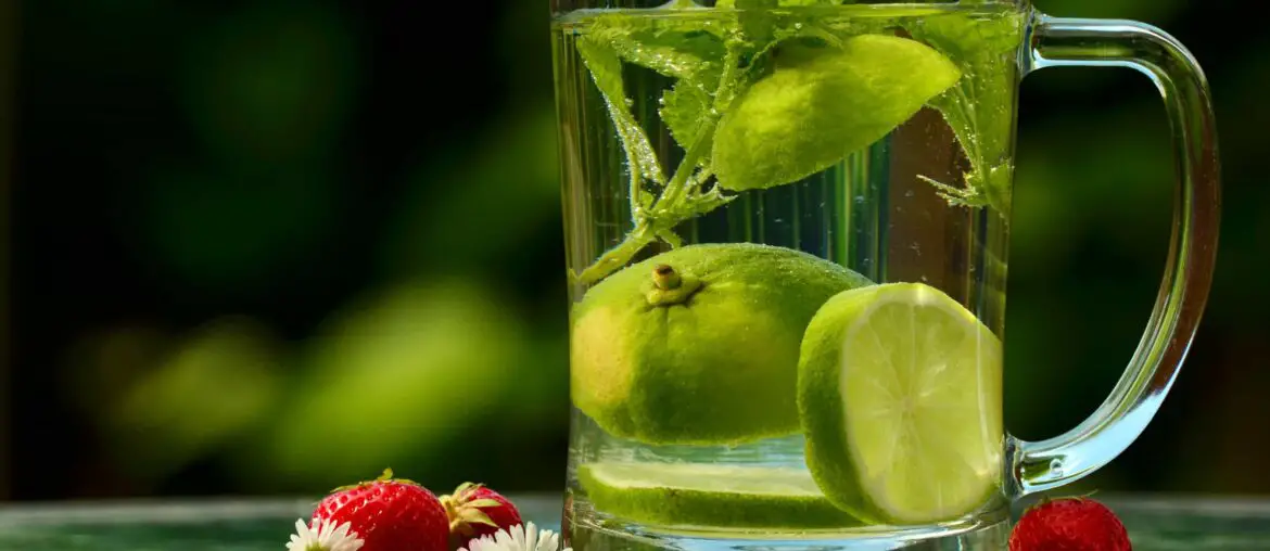 When various poisons affect our healthy lives, detoxification becomes an essential part.