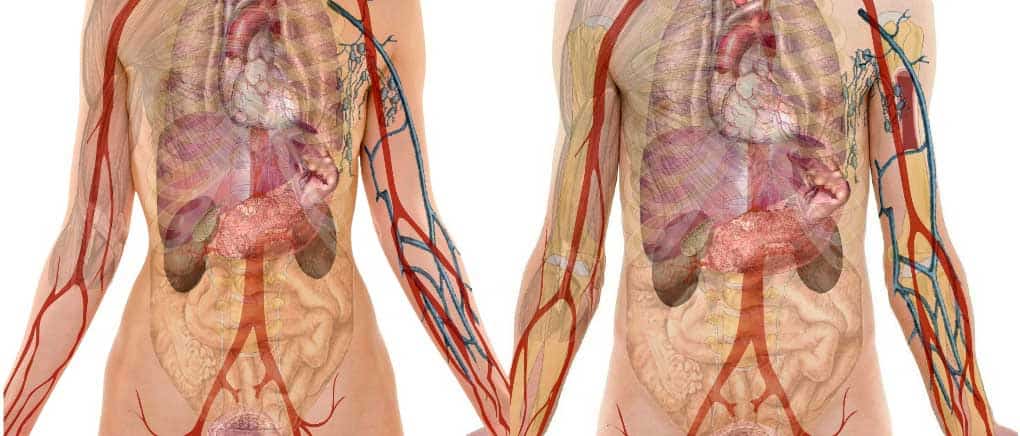 Apple cider vinegar and honey have the effect of moistening intestines and defecating.