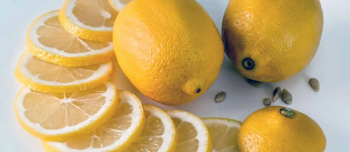 Lemon contains citric acid