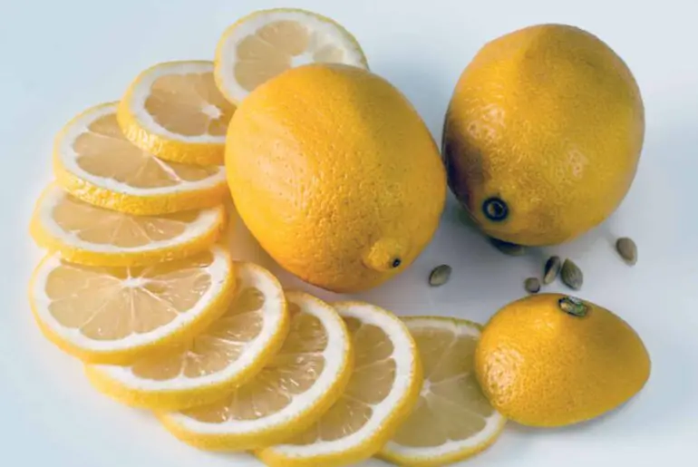 Lemon contains citric acid