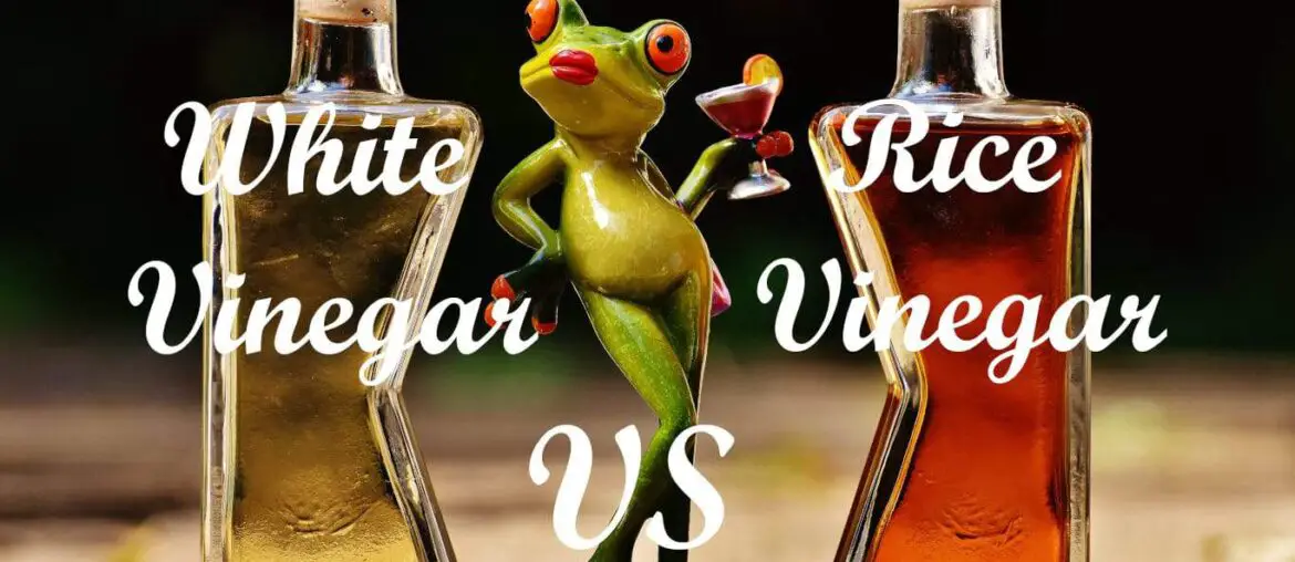 White vinegar vs rice vinegar - Which is better