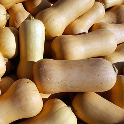 Butternut squash is particularly prominent among the many pumpkins available at the supermarket.