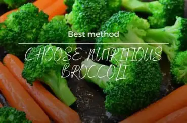Broccoli is rich in nutrients. The mineral content of broccoli is more extensive than other vegetables. Broccoli contains calcium, phosphorus, iron, potassium, zinc, and manganese. It is much higher than the cabbage flowers belonging to the cruciferous family.