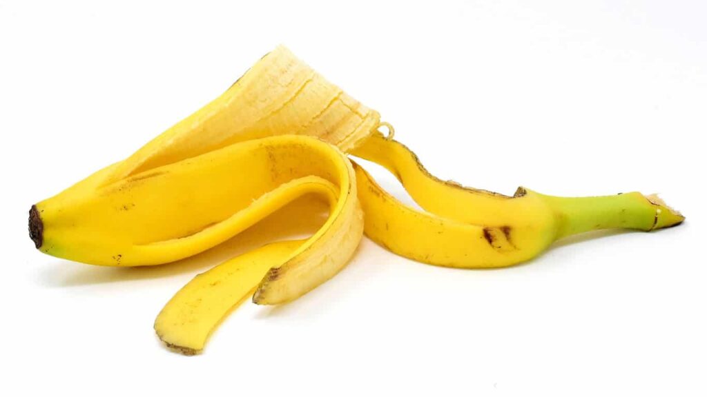 Banana peel contains cannabinoids. It can cure psoriasis caused by fungal and bacterial infections.