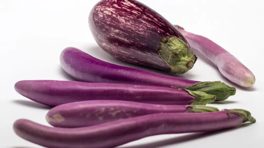 Eggplant is good food therapy for cardiovascular patients. A lot of nutrients contains in the eggplant skin.