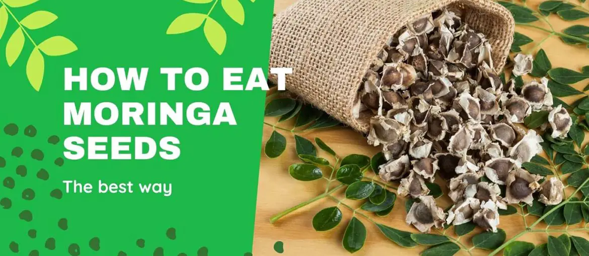 How to eat Moringa seeds