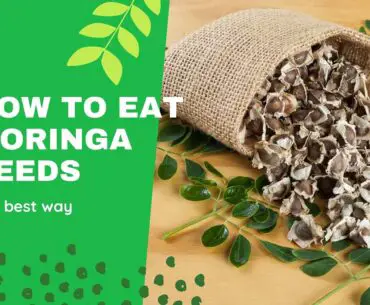 How to eat Moringa seeds