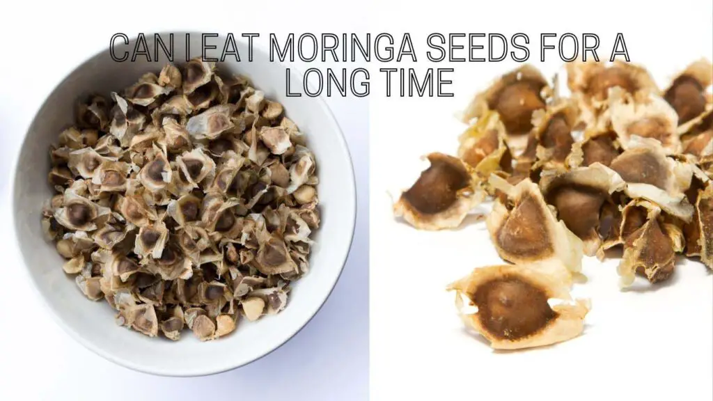 How To Eat Moringa Seeds? Find Out The Best Way 2