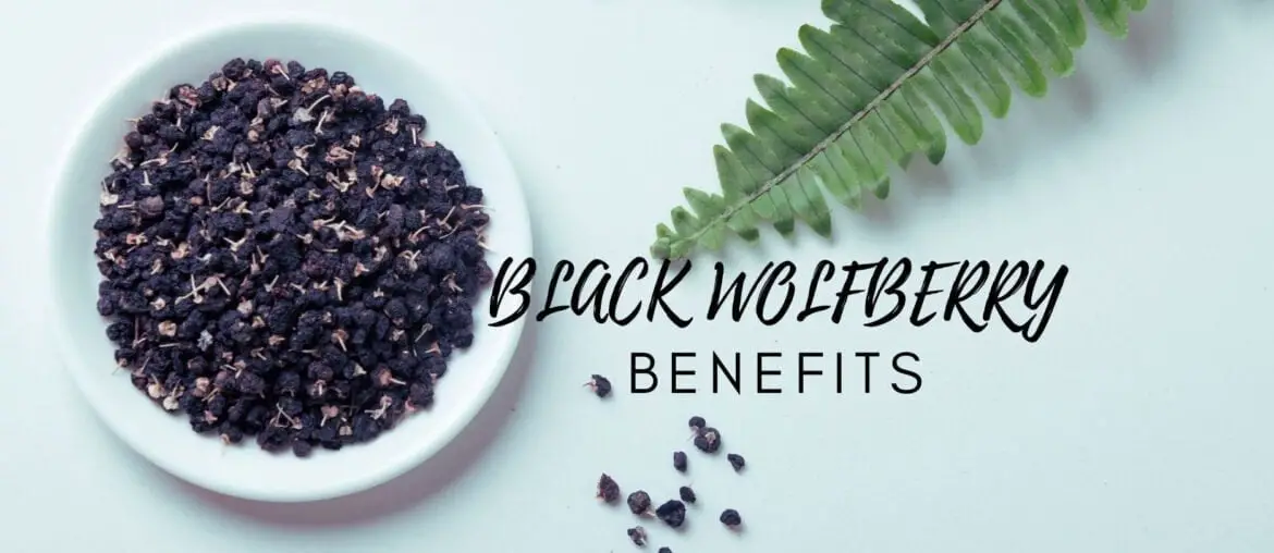 health value of black wolfberry