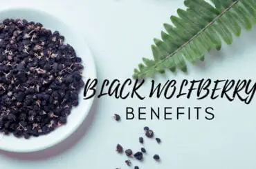 health value of black wolfberry