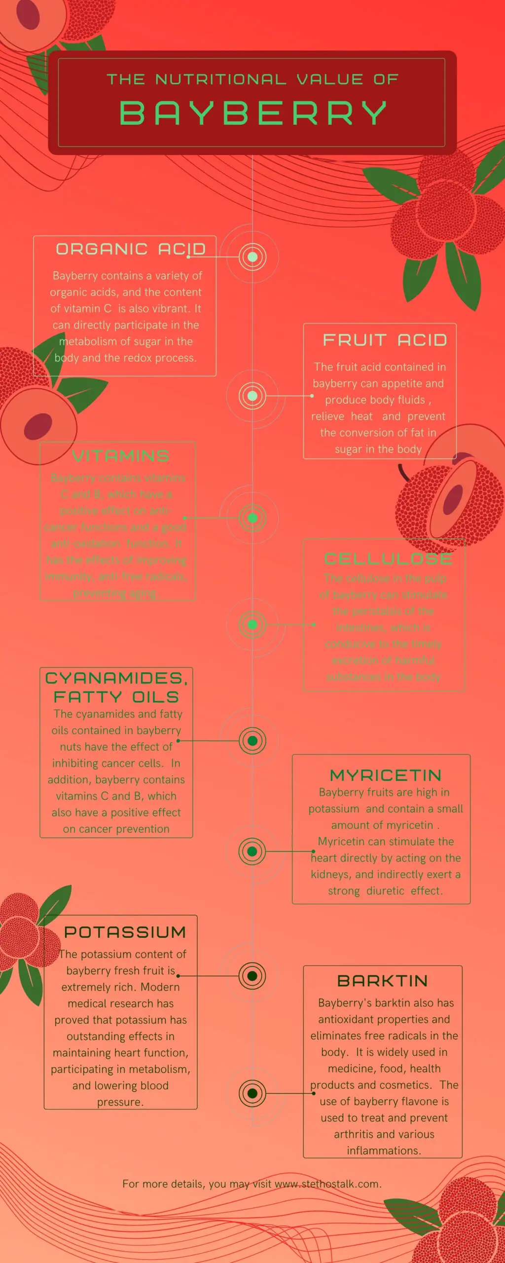 Bayberry benefits - Infographic