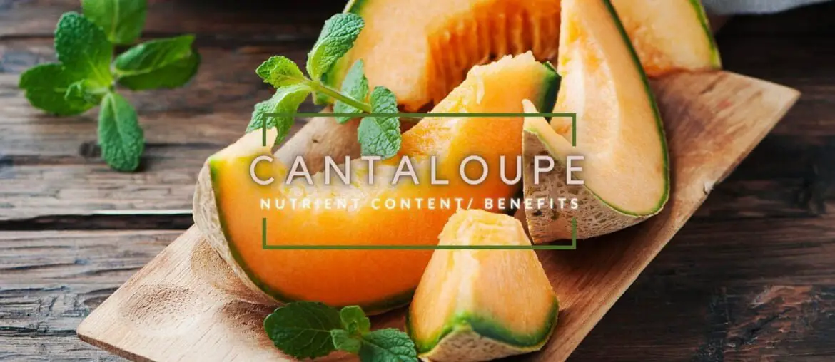 Cantaloupe nutrient content and benefits