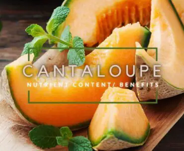 Cantaloupe nutrient content and benefits