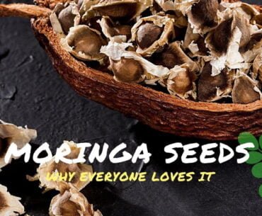 Moringa Seeds health benefits