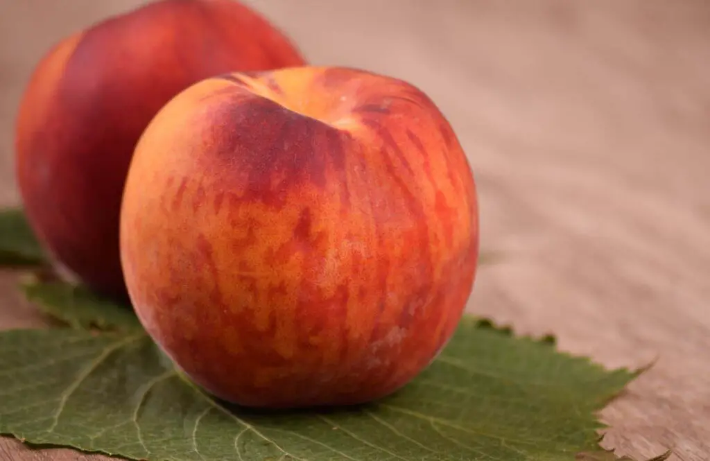 Eat Nectarine? So You Must Know These Precautions 6