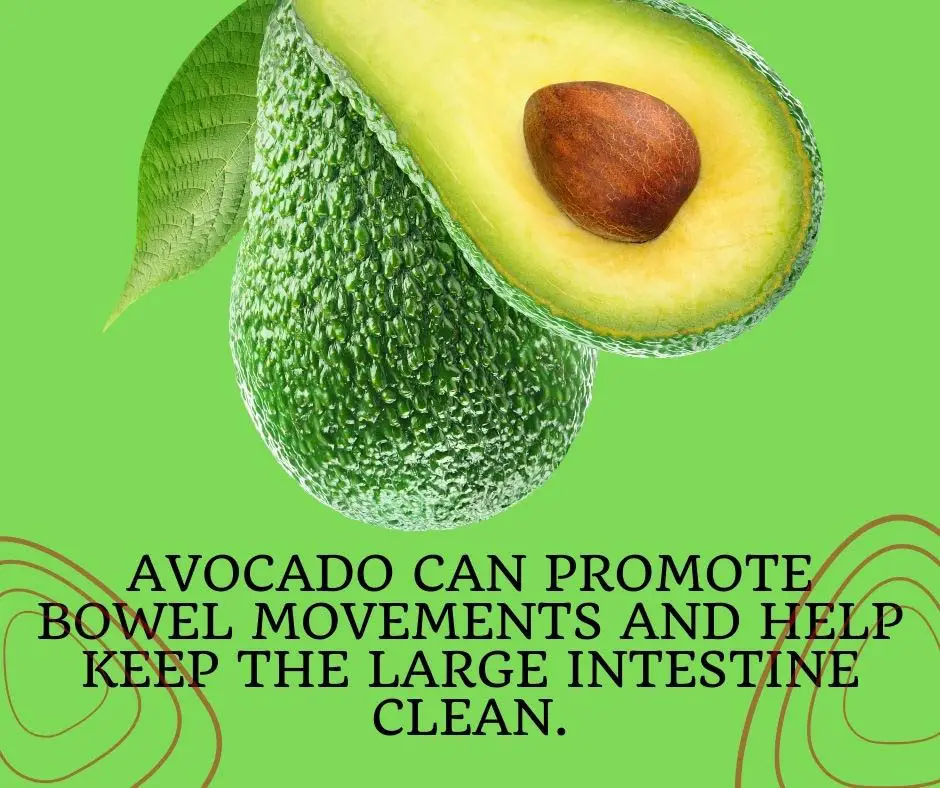 Avocado