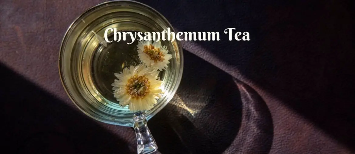 Benefits of chrysanthemum tea