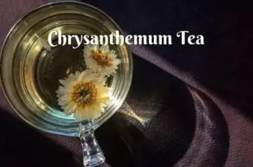 Benefits of chrysanthemum tea