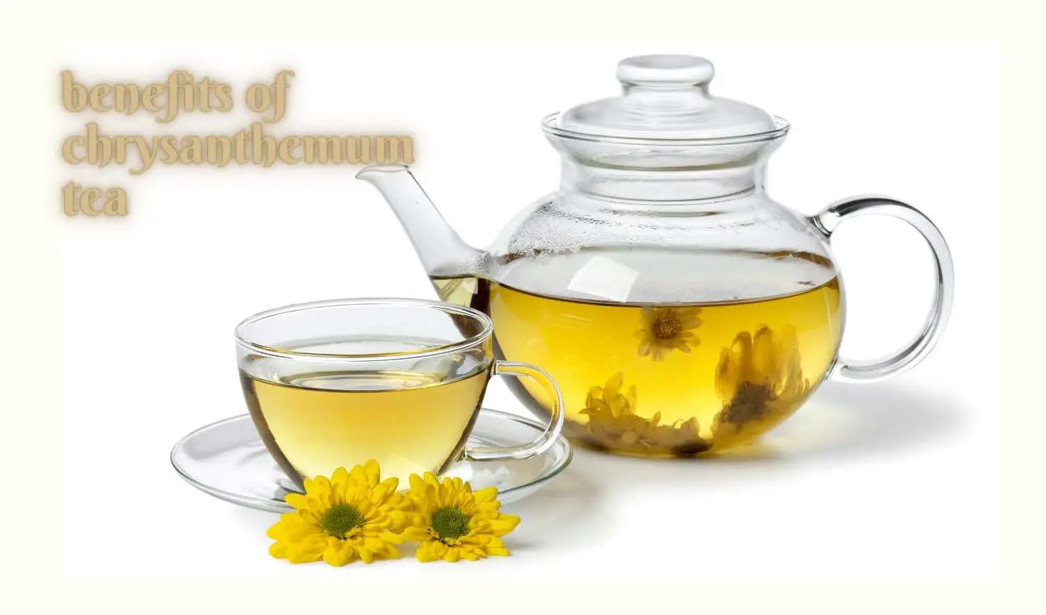 Benefits of chrysanthemum tea