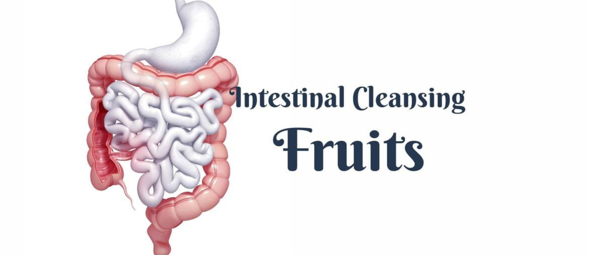 18 Best Fruits For The Intestinal Cleansing 2