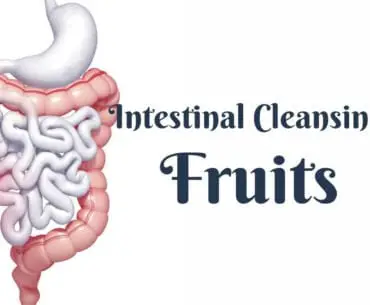 18 Best Fruits For The Intestinal Cleansing 2
