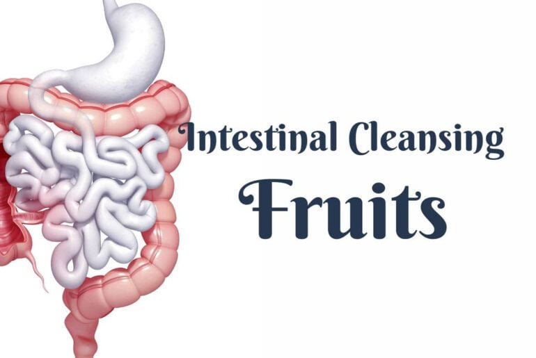 18 Best Fruits For The Intestinal Cleansing 2