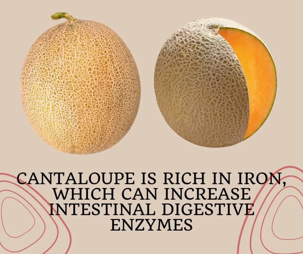 Cantaloupe