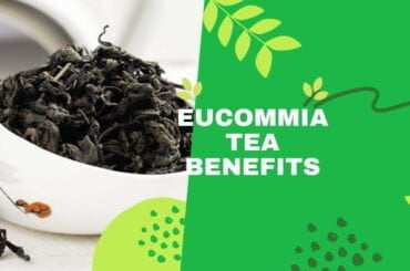 Eucommia tea benefits