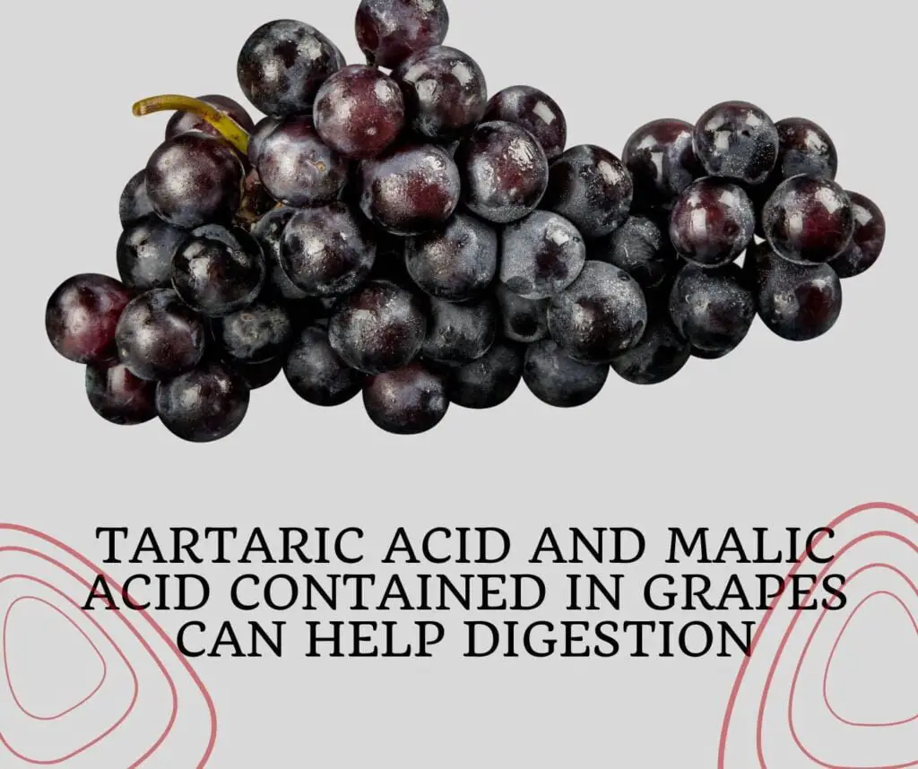 18 Best Fruits For The Intestinal Cleansing 9 Grape