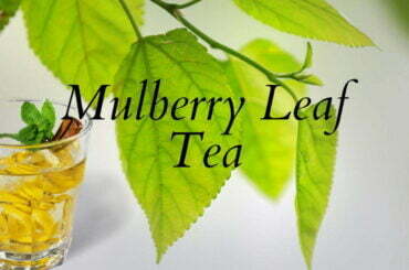 Mulberry Leaf Tea Benefits