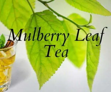 Mulberry Leaf Tea Benefits