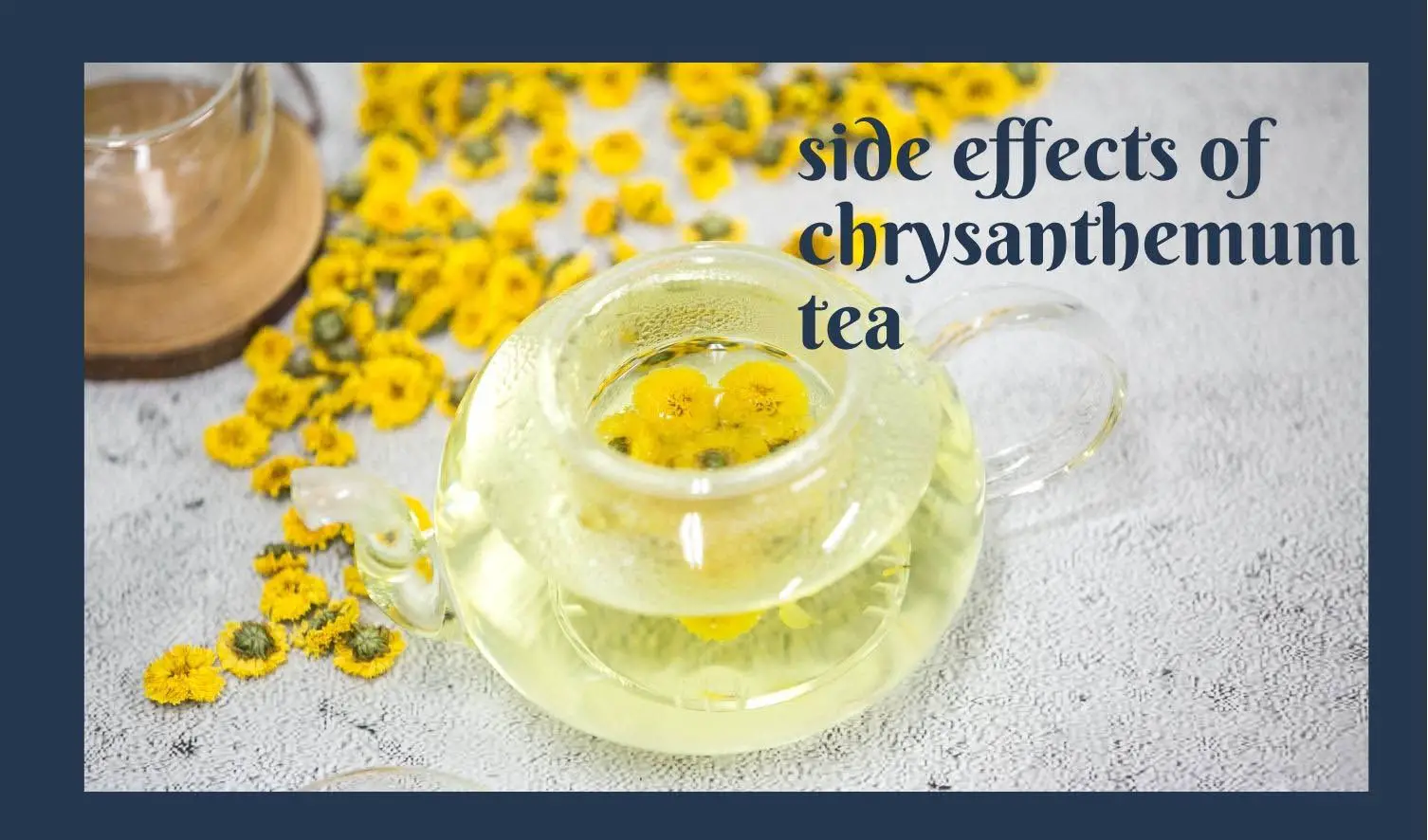 side effects of chrysanthemum tea