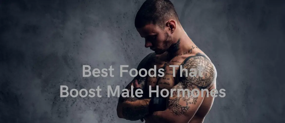 9 Best Foods Types That Boost Male Hormones 2