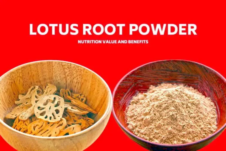 Lotus root powder benefits