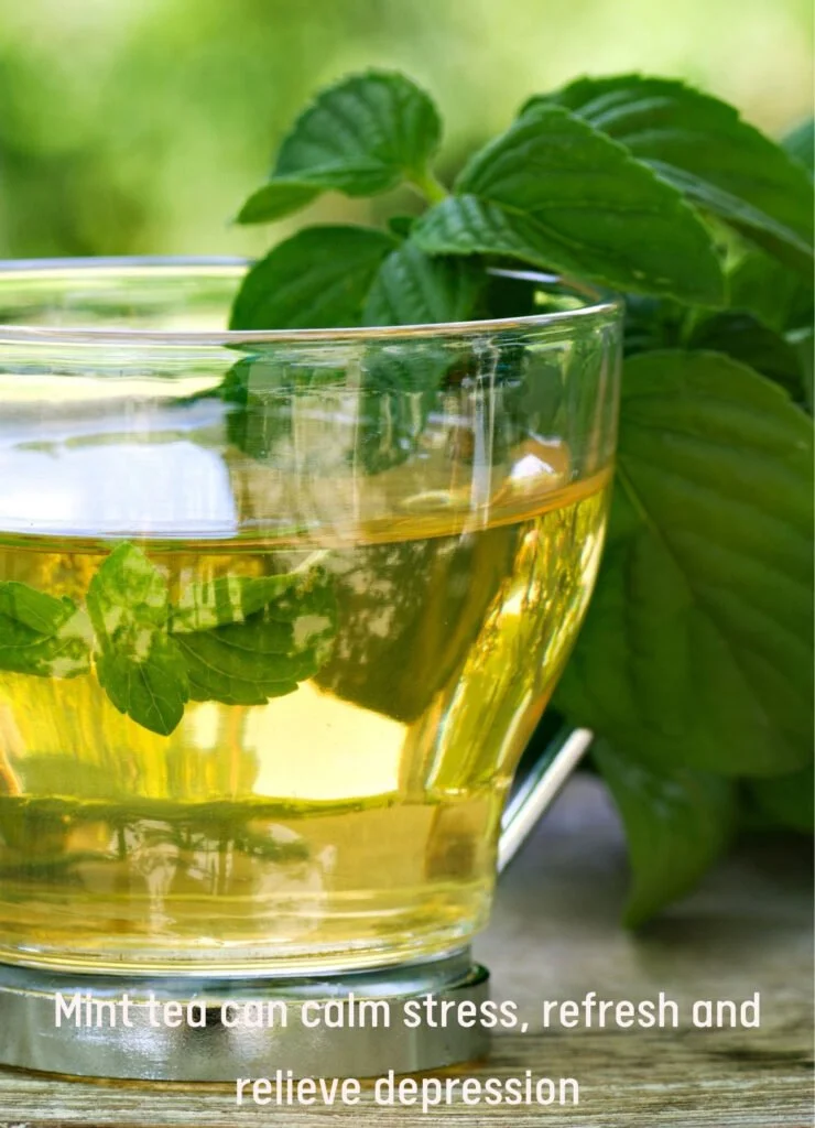 Scented Tea Types, Benefits, Dosage, and Precautions 13 Mint tea cup