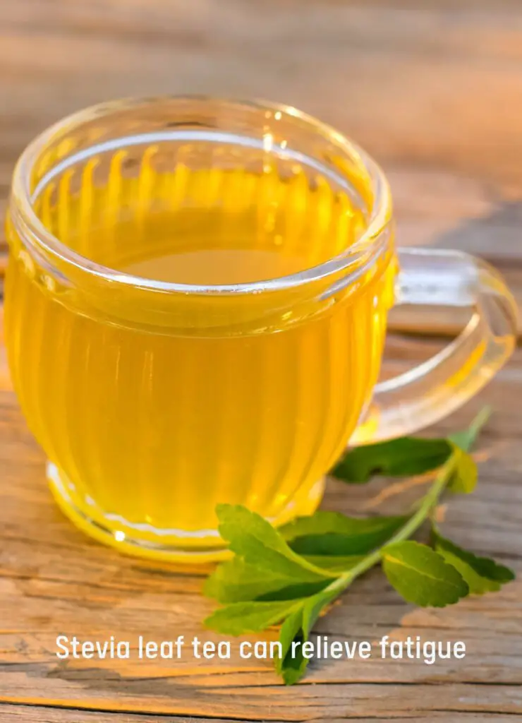 Stevia leaf tea cup