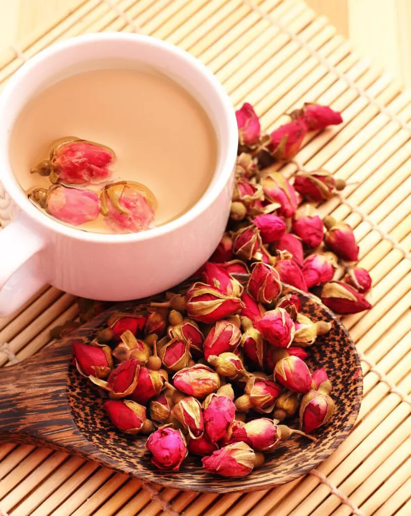 Rose tea cup and rose buds