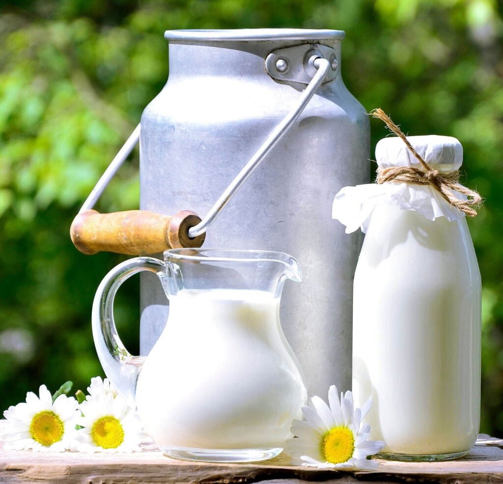 Fresh pure milk bucket, bottle and jug