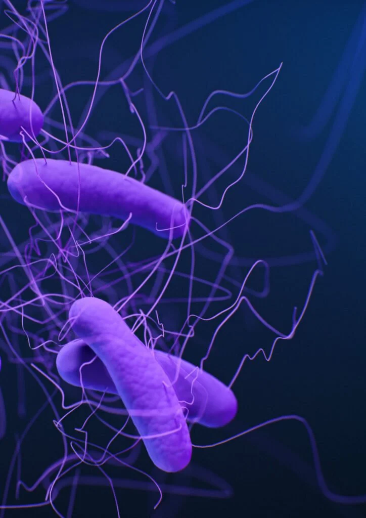 The Benefits And Harms Of Carbonated Beverages 1 Bacteria