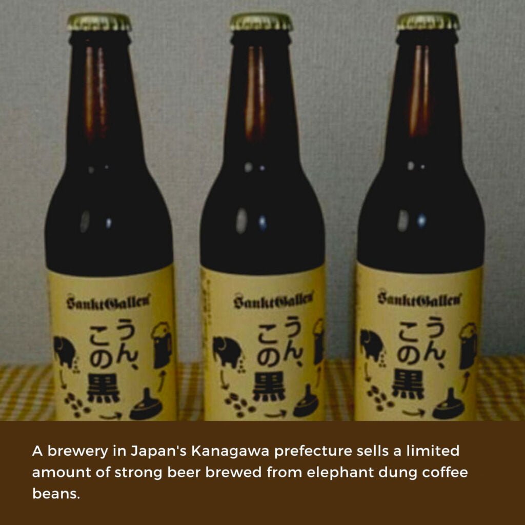Three elephant dung beer bottles