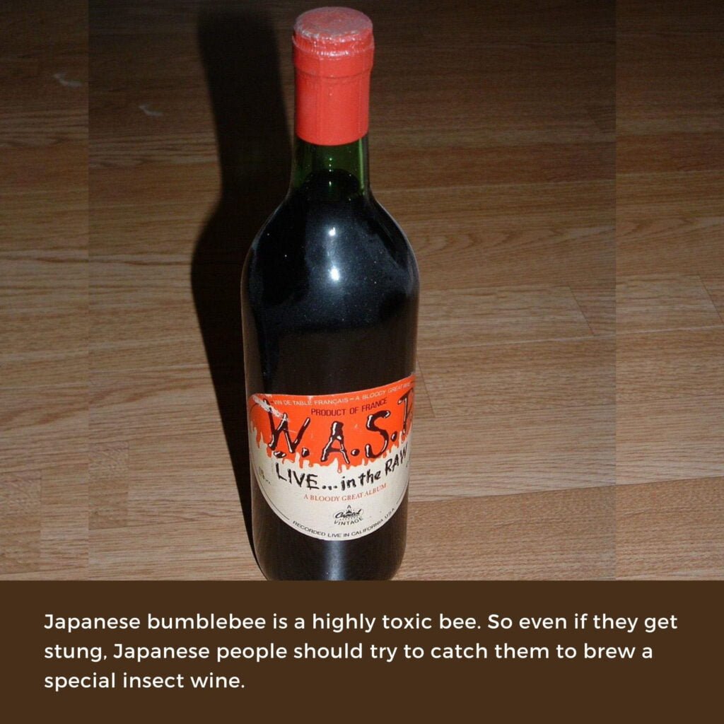 Wasp wine bottle