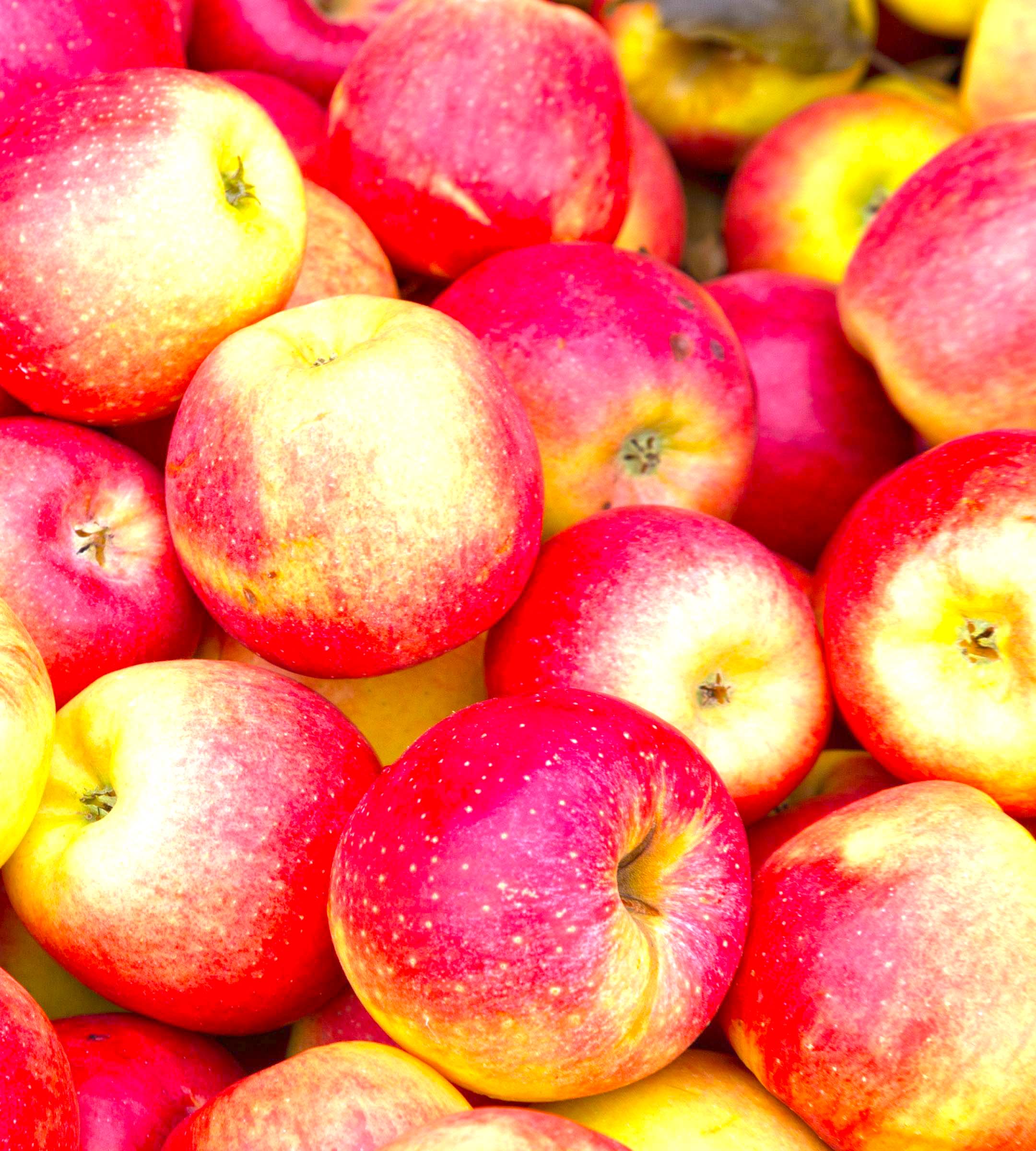 What Fruits Are Effective In Lowering Blood Lipids 6 Red apples